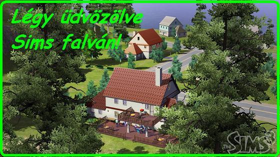 sims013